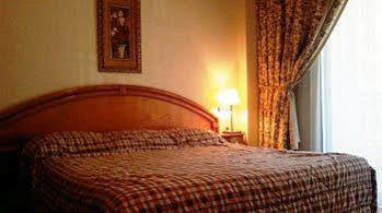 White House Apartment Beirut